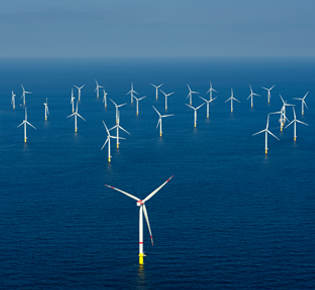 Offshore wind lease heightens  the need to learn more